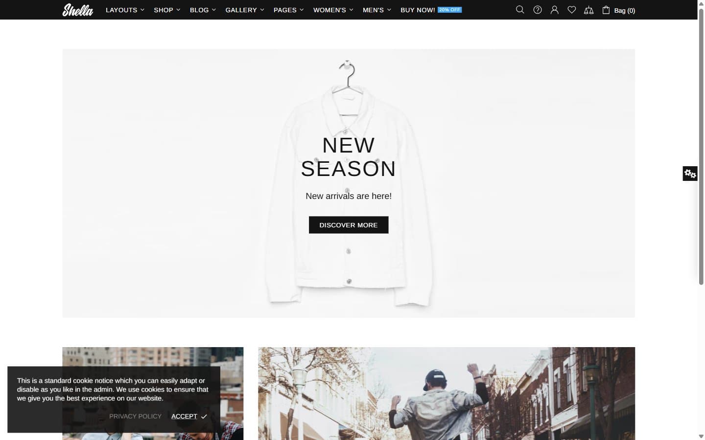 Premium Storefront website preview